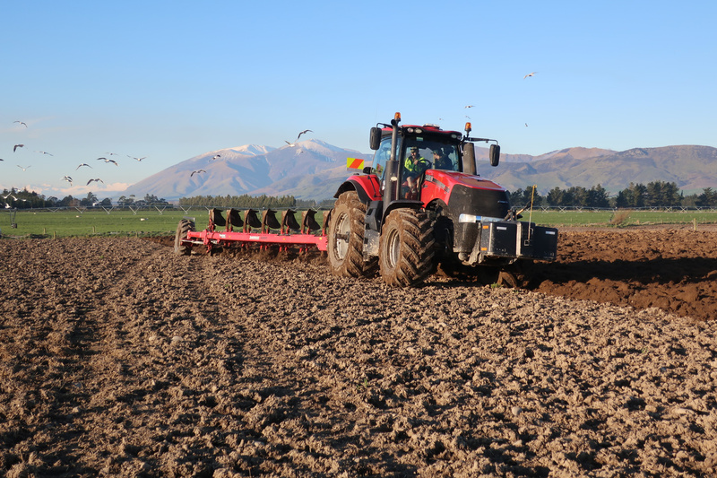 cultivation-planting